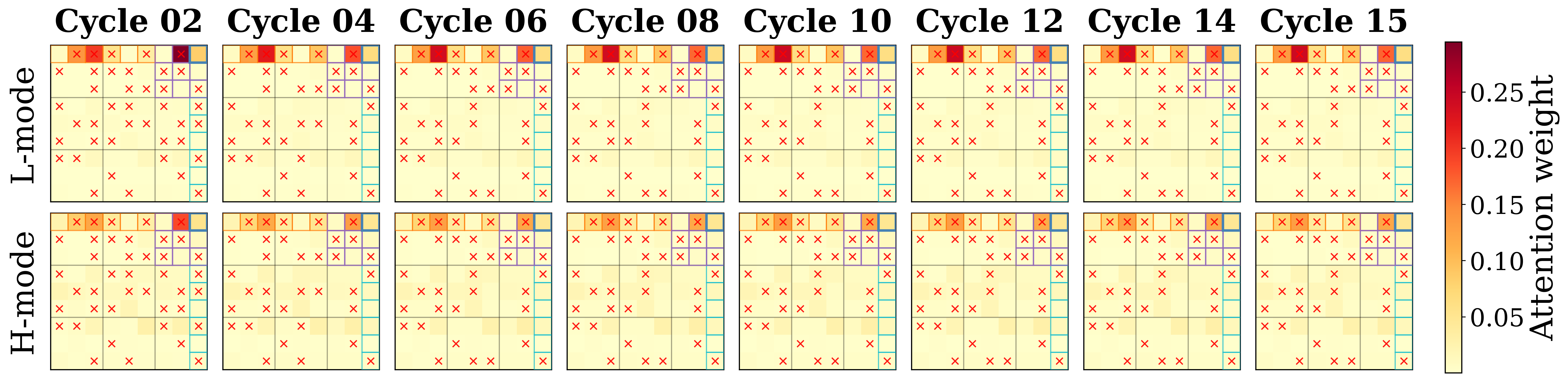 Temporal evolution of L and H attention maps across cycles 2-15 for one query cell, showing the local-vs-global split persists at every cycle.